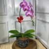 Orquídea em Cachepot de Cerâmica