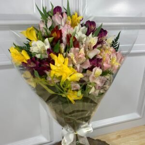 Alternative view of Buquê de 20 Astromélias Coloridas