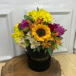 Box de Flores do Campo