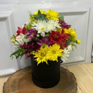 Alternative view of Box de Flores do Campo