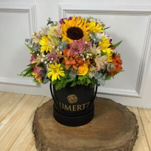 Box de Flores do Campo