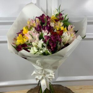 Buquê de 30 Astromélias Coloridas