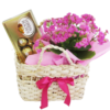 Cestinha Rústica de Kalanchoe e Ferrero Rocher 8 Unidades
