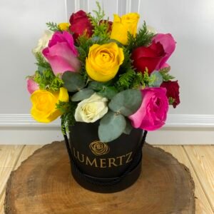 Box de 18 Rosas Coloridas