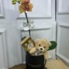 Orquídea em Box Com Urso 12cm e Ferrero Rocher 8 Unidades