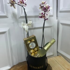 Orquídea em Box Com Freixenet 200ml e Ferrero Rocher 8 Unidades