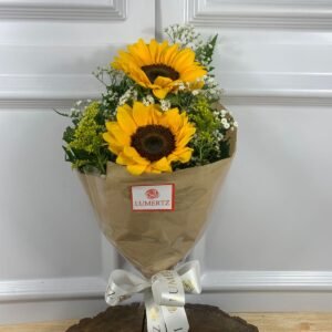 Buquê de 2 Girassóis