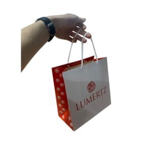 Sacola de Presente Lumertz Pequena