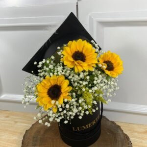 Box Formatura Capelo - 3 Girassóis