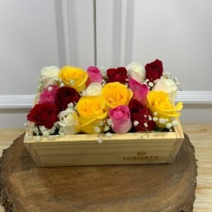 Box Madeira - 18 Rosas Coloridas