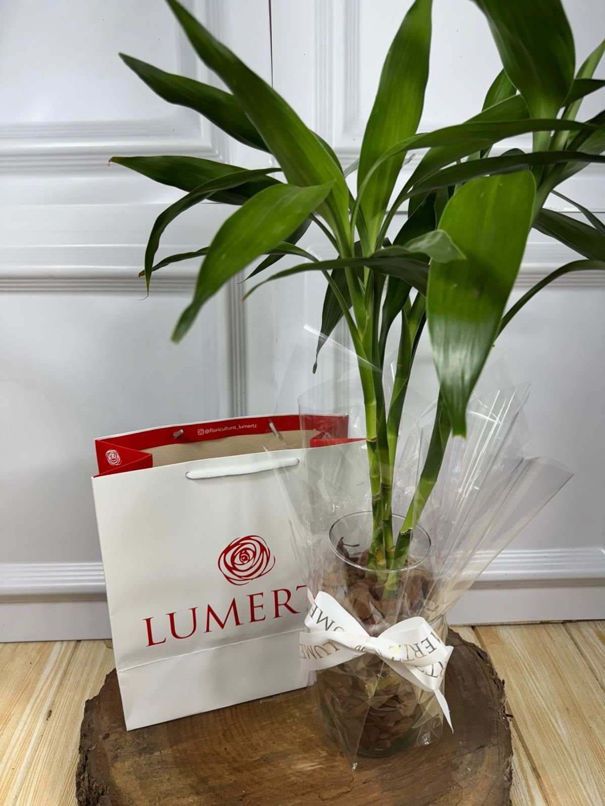 Arranjo Vaso de Vidro de 4 Galhos de Bambu da Sorte + Sacola Presente