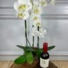 Orquídea em Cachepot de Vidro e Mini Vinho Casillero Cabernet Sauvignon 375ml