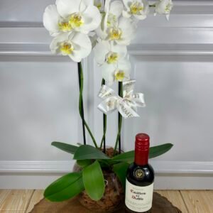 Orquídea em Cachepot de Vidro e Mini Vinho Casillero Cabernet Sauvignon 375ml